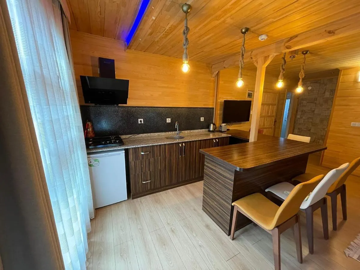Gold City Apart Uzungoel Trabzon Apartment